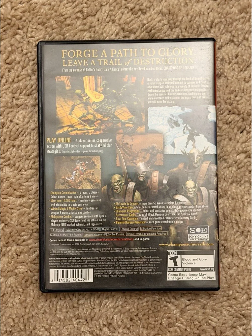 Champions of Norrath for PlayStation 2
